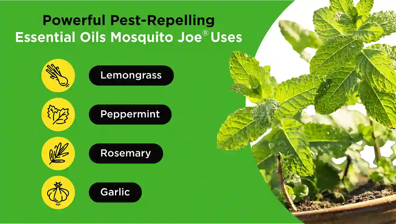 A graphic that reads: