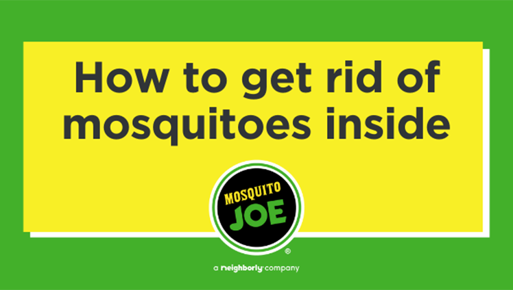 A yellow box reading