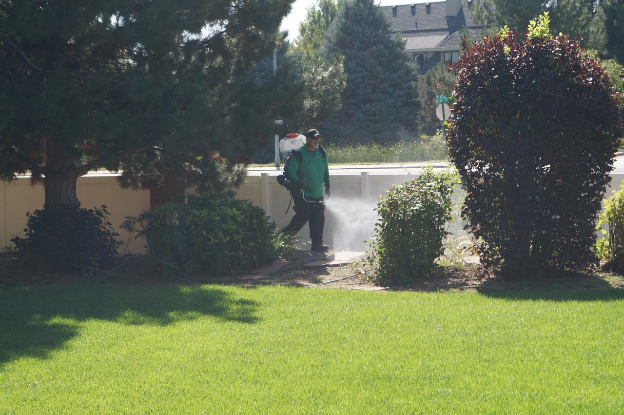 Mosquito Joe of Northern Colorado service professional administering treatment to a yard.