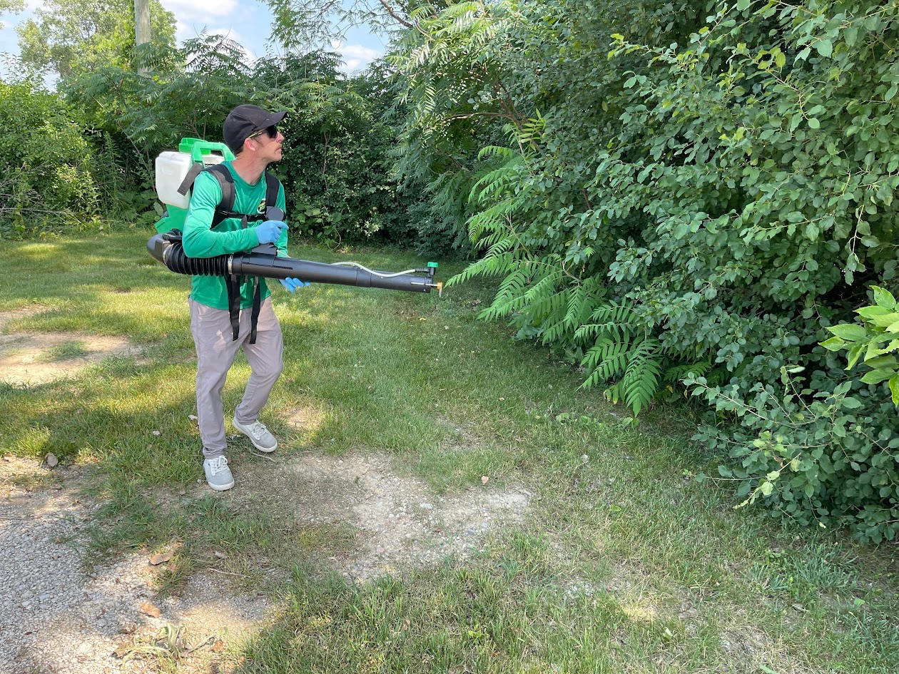 Mosquito Joe of Ann Arbor service professional applying treatment with a backpack sprayer.