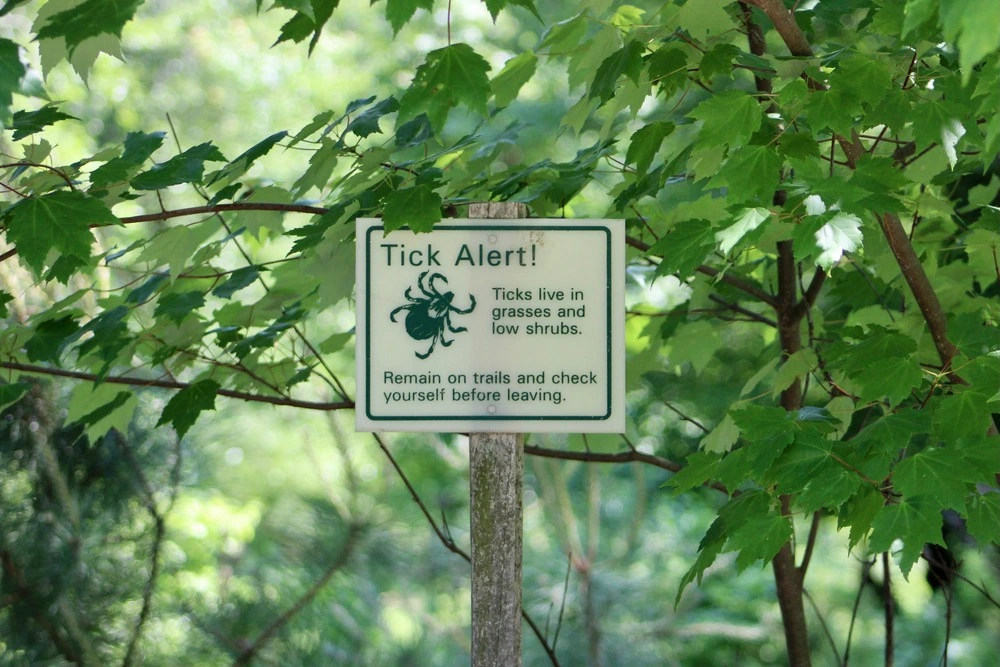 Tick sign.