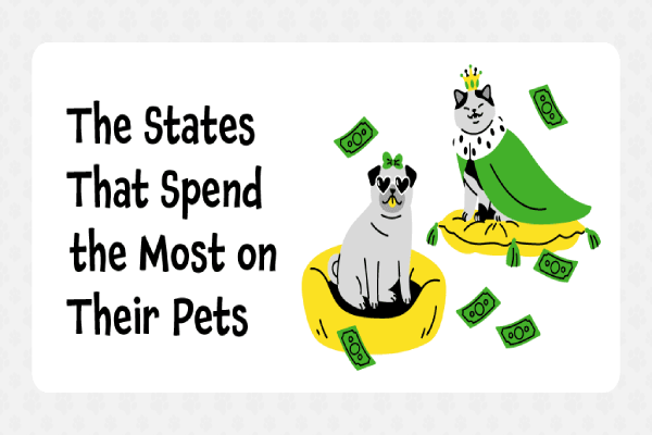Title graphic for a blog about the states that spend the most on their pets.